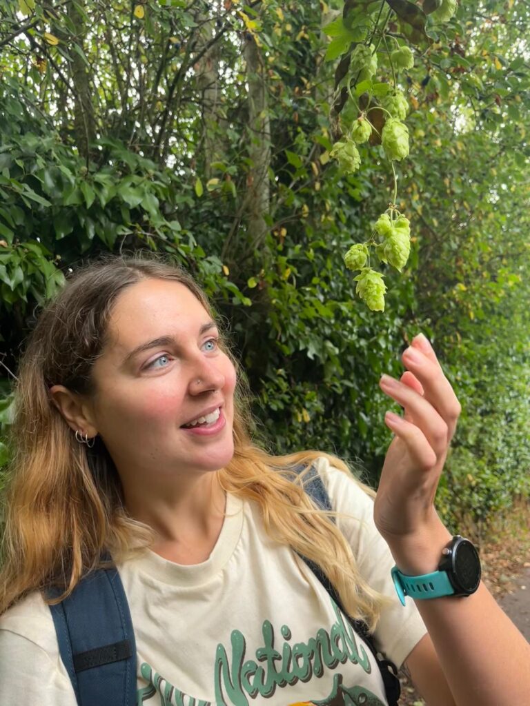 Christy admiring the other plant that's important in beer prodection - hop leaves!